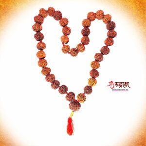 Narayan laxmi Kantha Mala Rudraksha