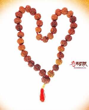 Narayan laxmi Kantha Mala Rudraksha